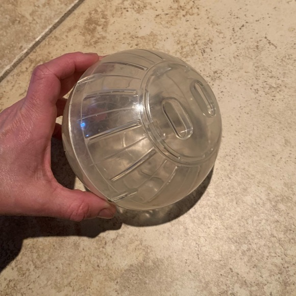 Kaytee 5" Mini Run-About Exercise Ball - Picture 3 of 3